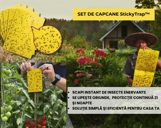 StickyTrap™ – Scapă rapid de insectele care îți distrug confortul!